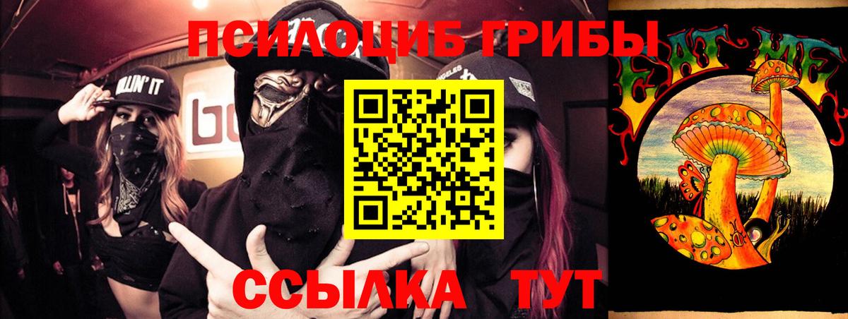 где можно купить наркотик  Псилоцибиновые грибы мухоморы  Вход с VPN  Дагестанские Огни  Галлюциногенные грибы ЛСД 