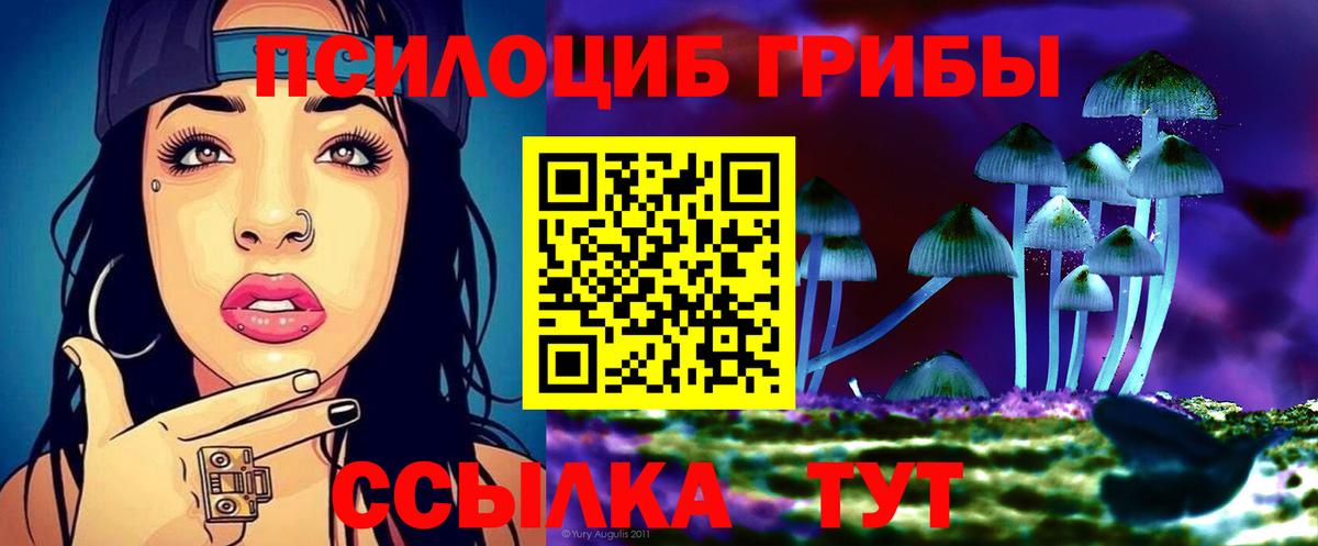 Галлюциногенные грибы прущие грибы Дагестанские Огни